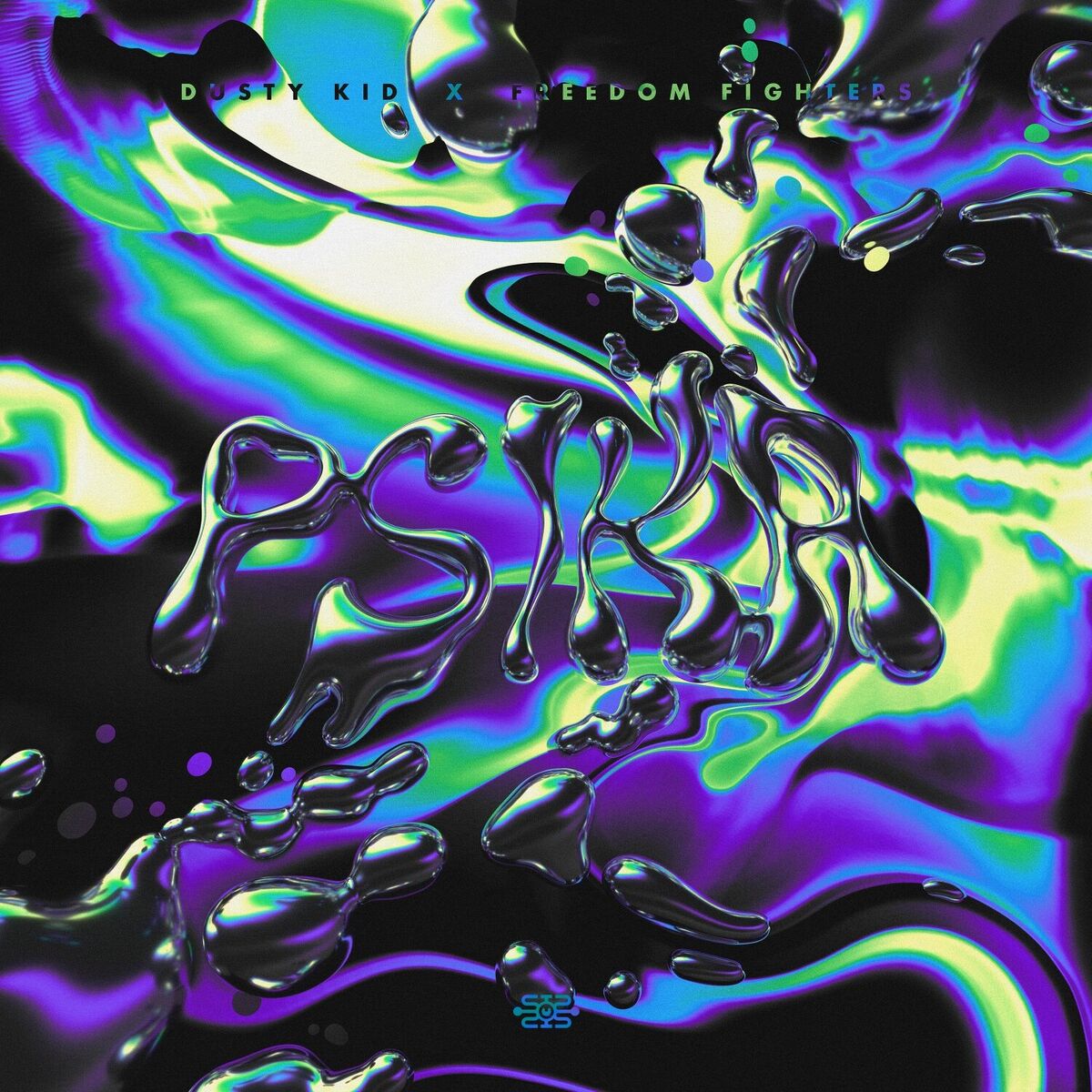 Album cover of Psika Recycled
