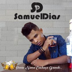 Cover of Pense Numa Cachaça Grande...