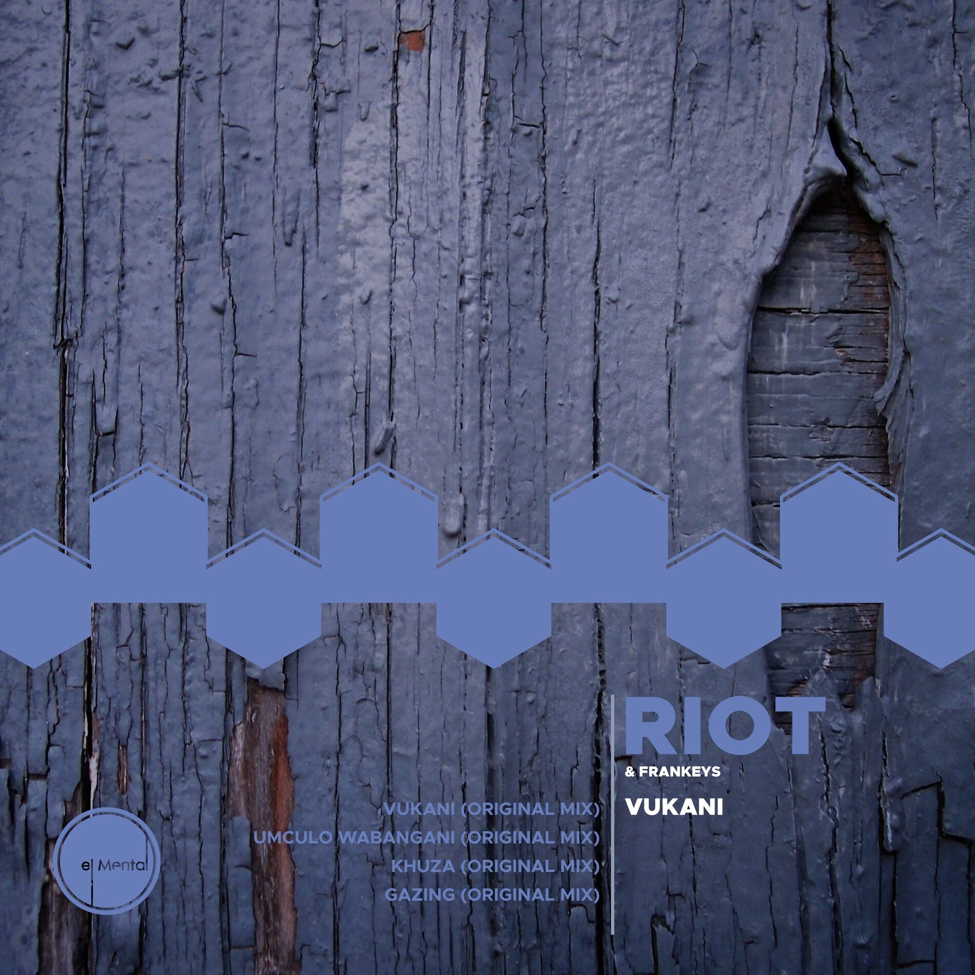 Album cover of Vukani