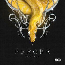 Cover of BEFORE