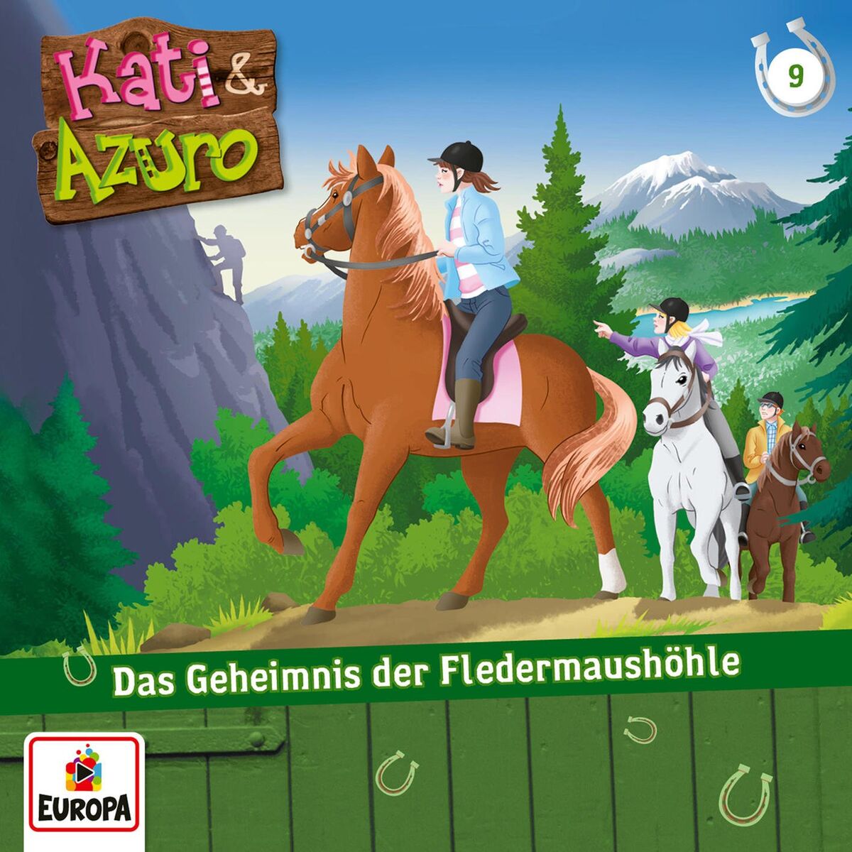Album cover of 09 - Das Geheimnis der Fledermaushöhle