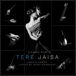 Cover of Tere Jaisa