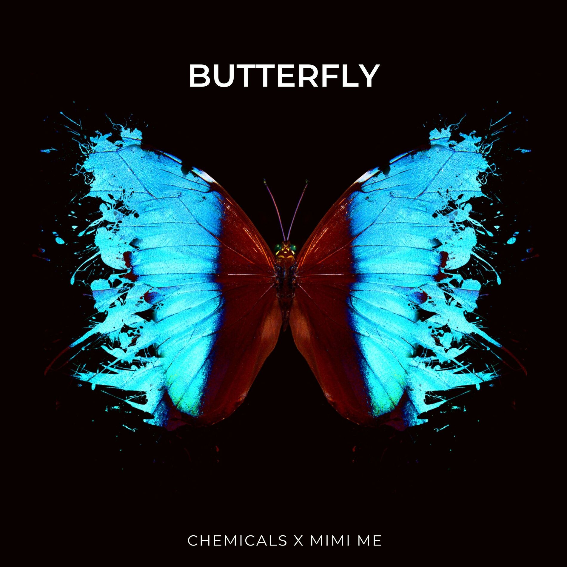 Album cover of Butterfly (Techno Version)