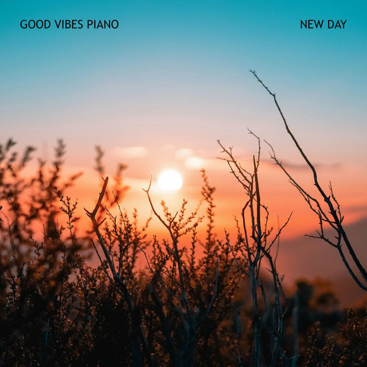 Album cover of New Day