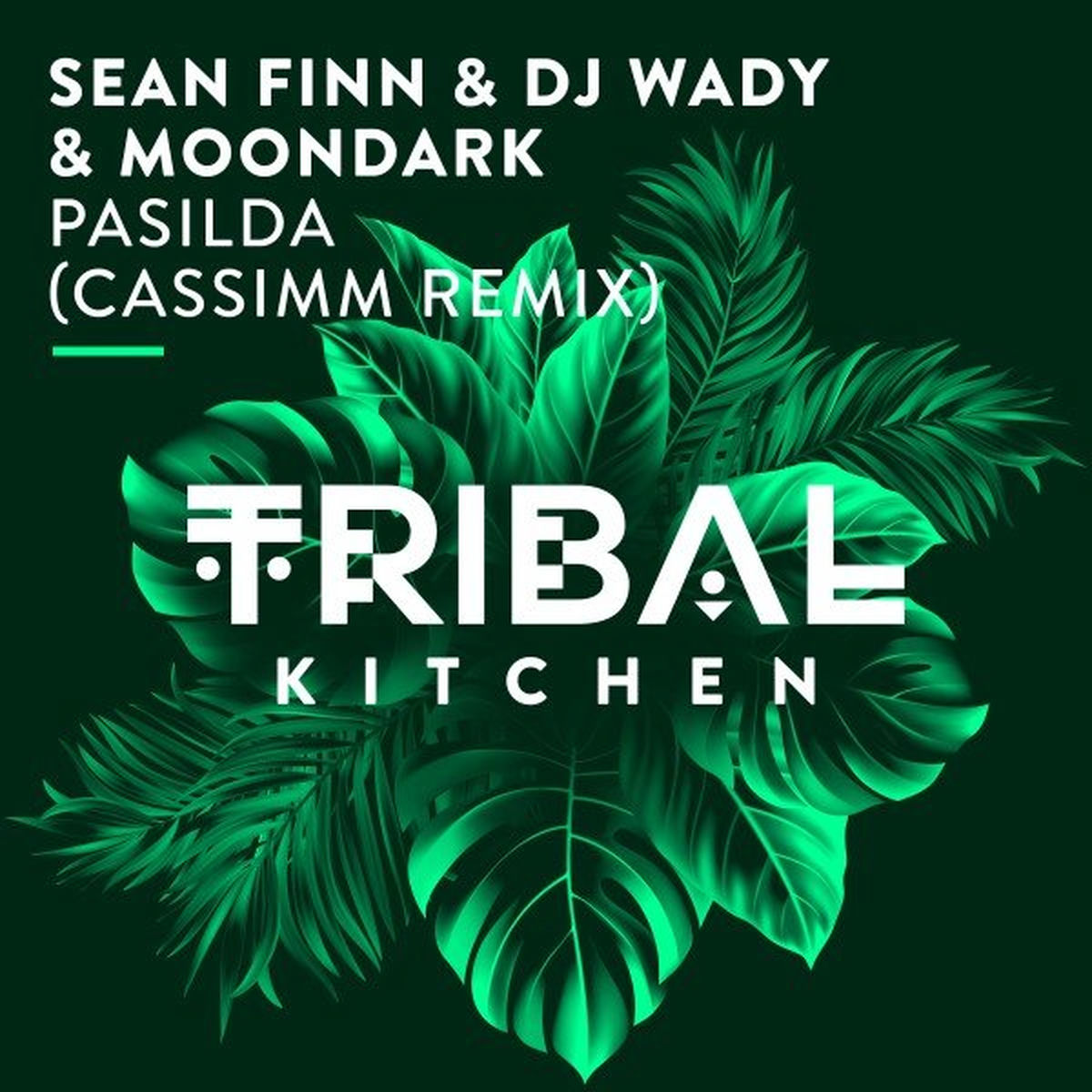 Album picture of Pasilda (CASSIMM Remix)