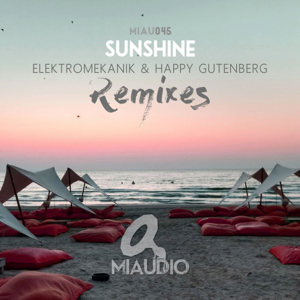 Picture of Hot Remixes, Vol. 01