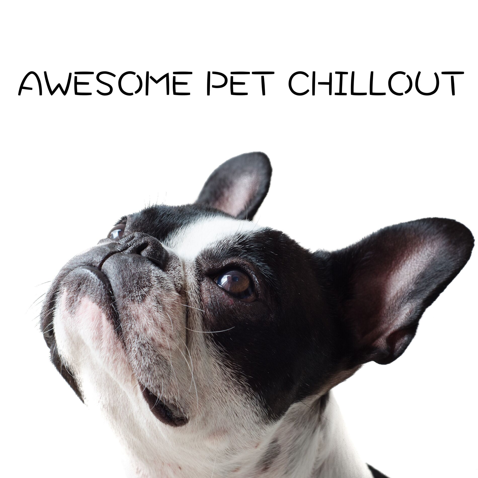 Album cover of Awesome Pet Chillout
