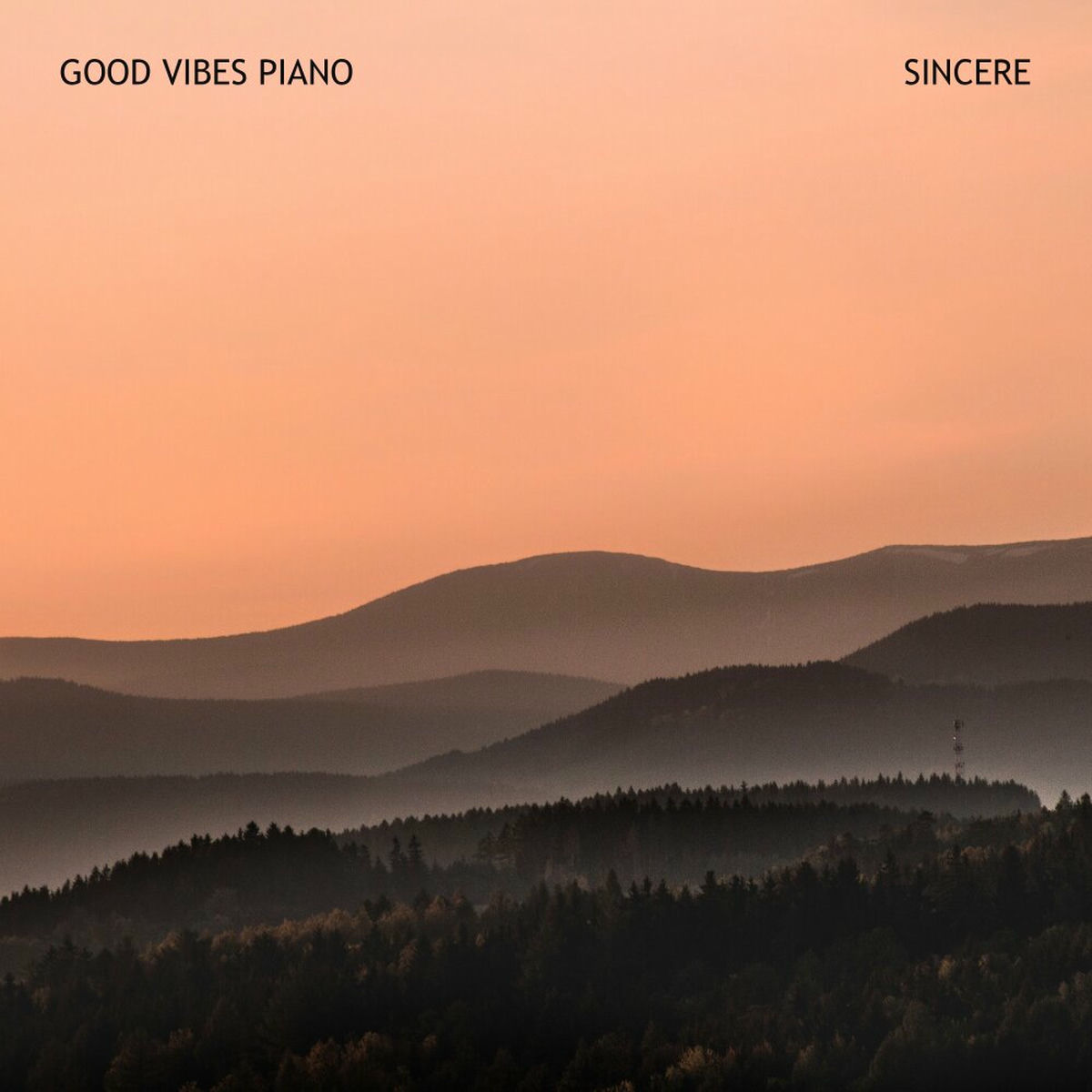 Album cover of Sincere