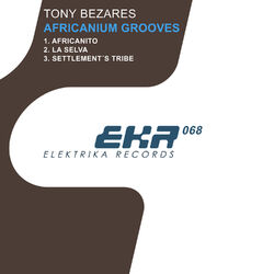 Cover of Africanium Grooves