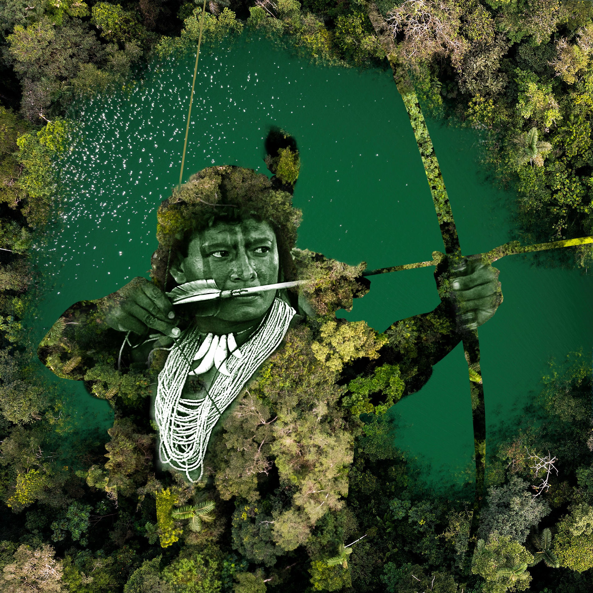 Album cover of Flechada Verde