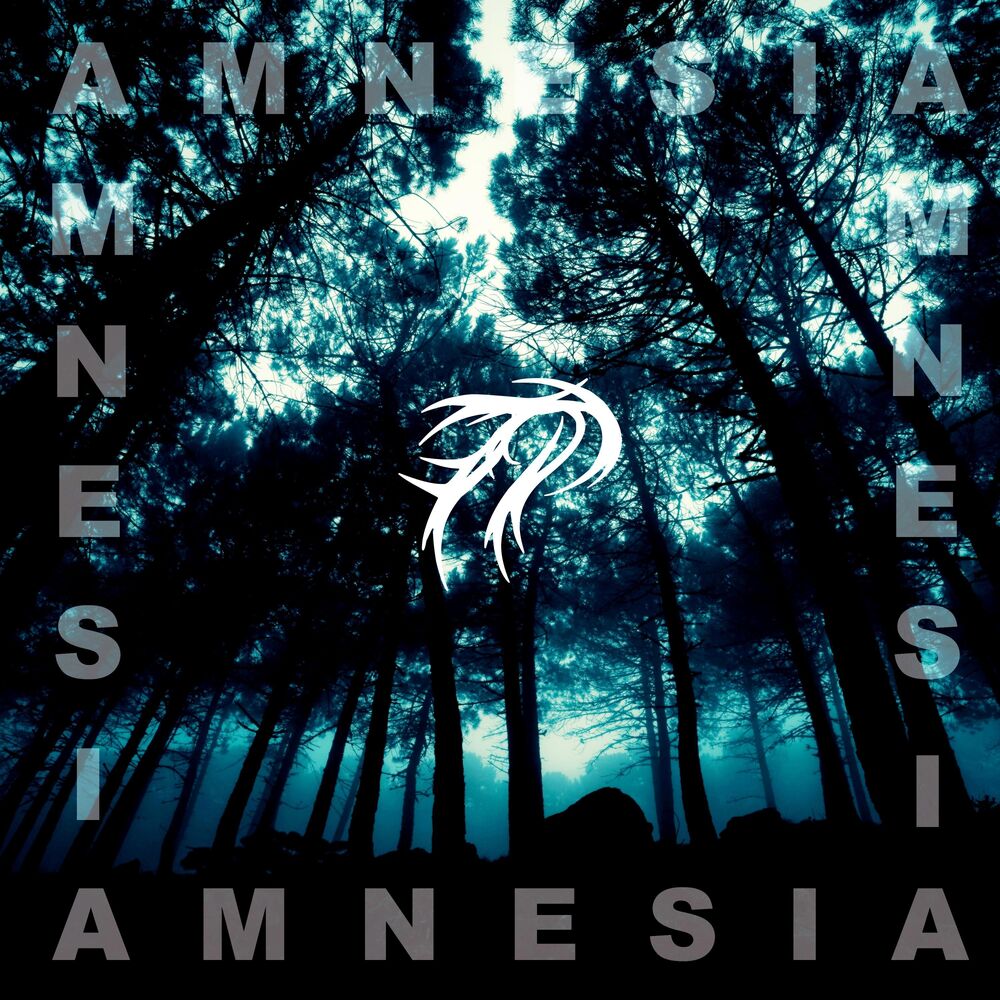 Picture of Amnesia