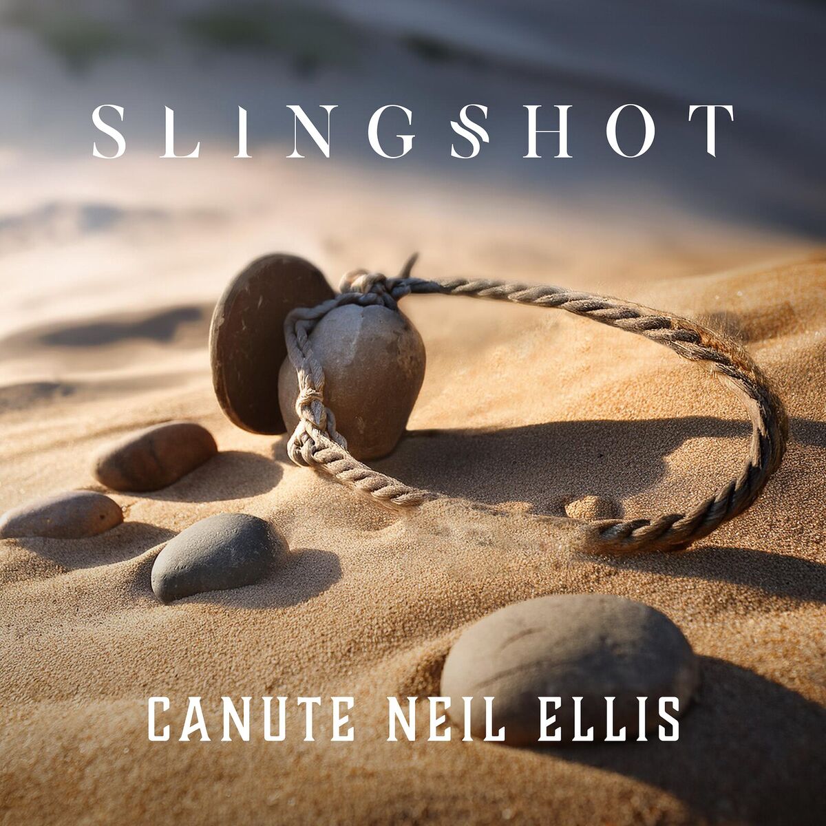 Album cover of Slingshot