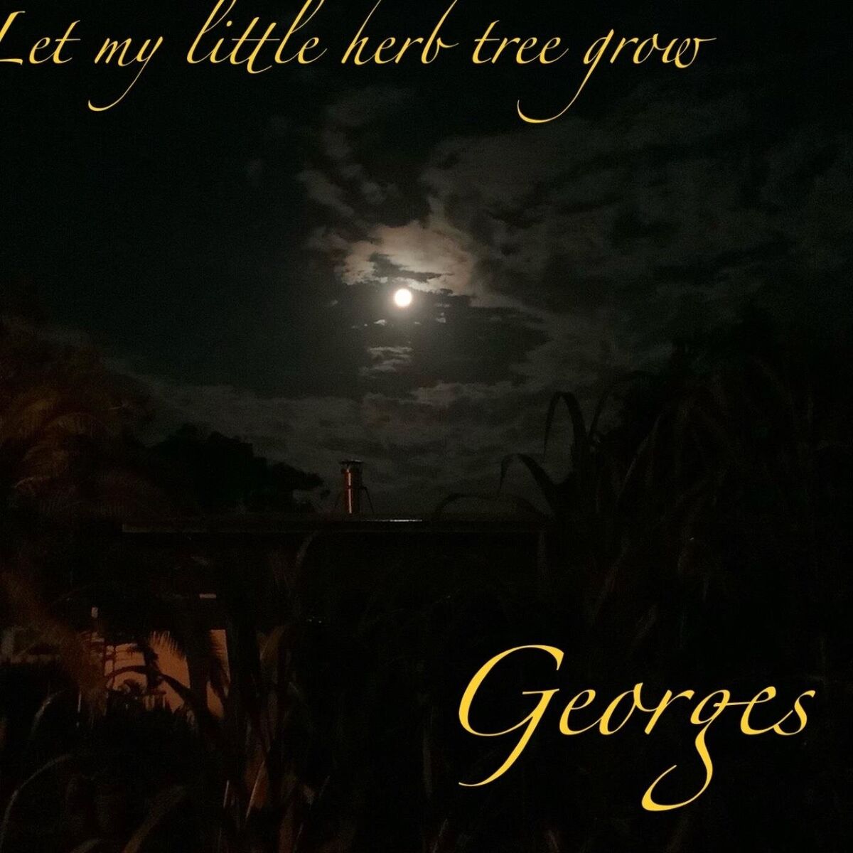 Album cover of Let My Little Herb Tree Grow