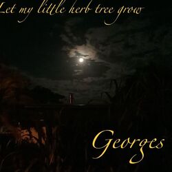 Cover of Let My Little Herb Tree Grow