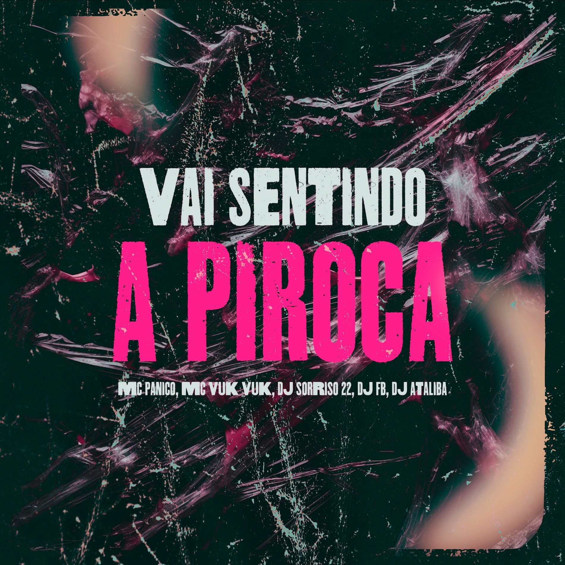 Album cover of Vai Sentindo a Piroca