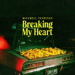 Cover of Breaking My Heart