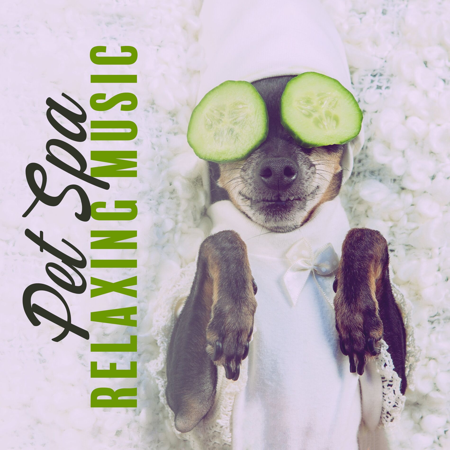 Album cover of Pet Spa. Relaxing Background Music, Nature Sounds, Calm Animals