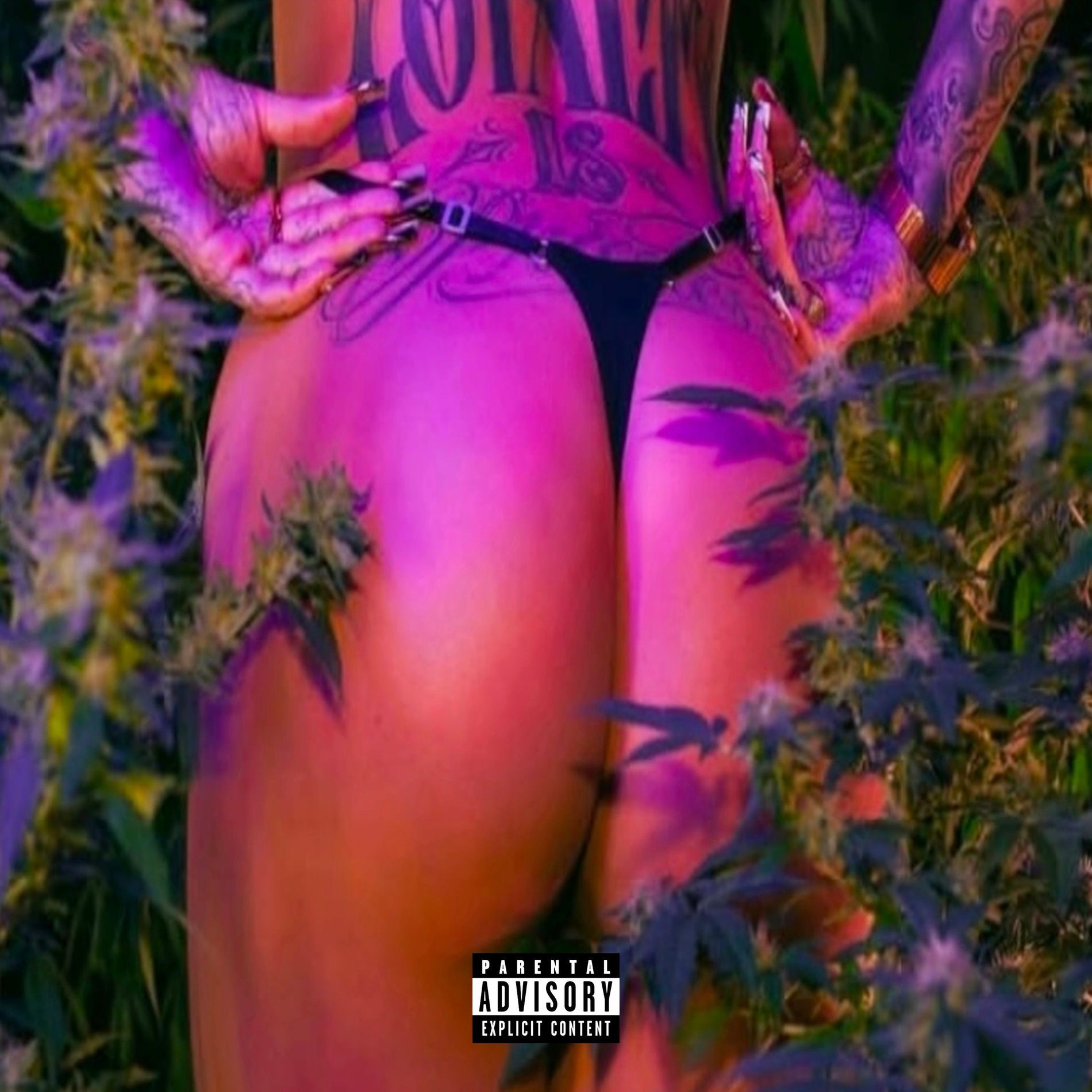 Сексуалдық пизда видео