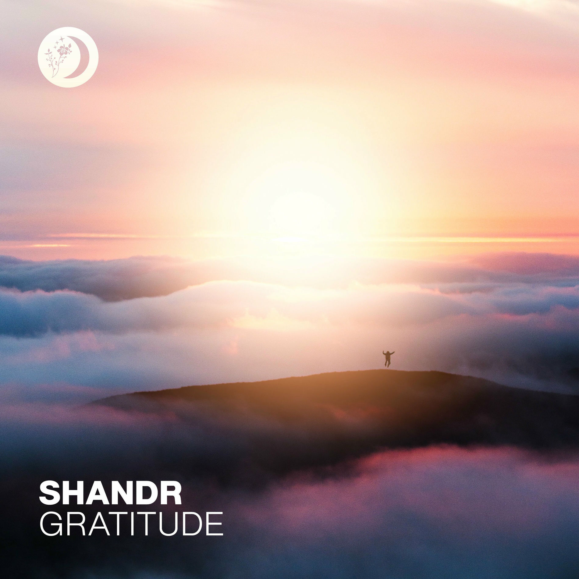 Album cover of Gratitude