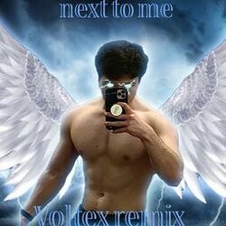 Next to Me (Remixes)