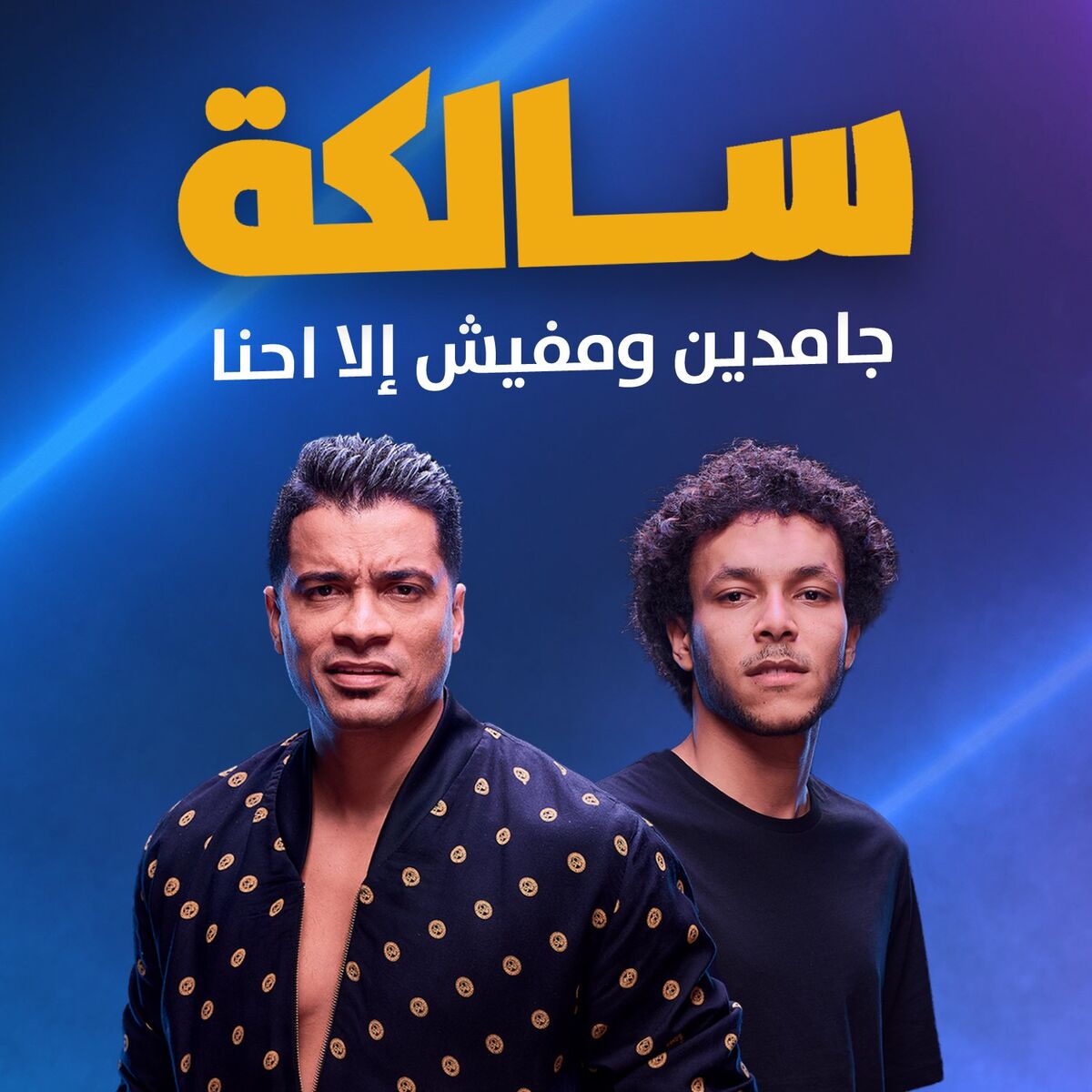 Album cover of Salka