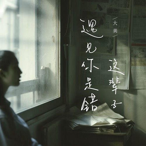 这辈子遇见你是错 (Dj默涵版)