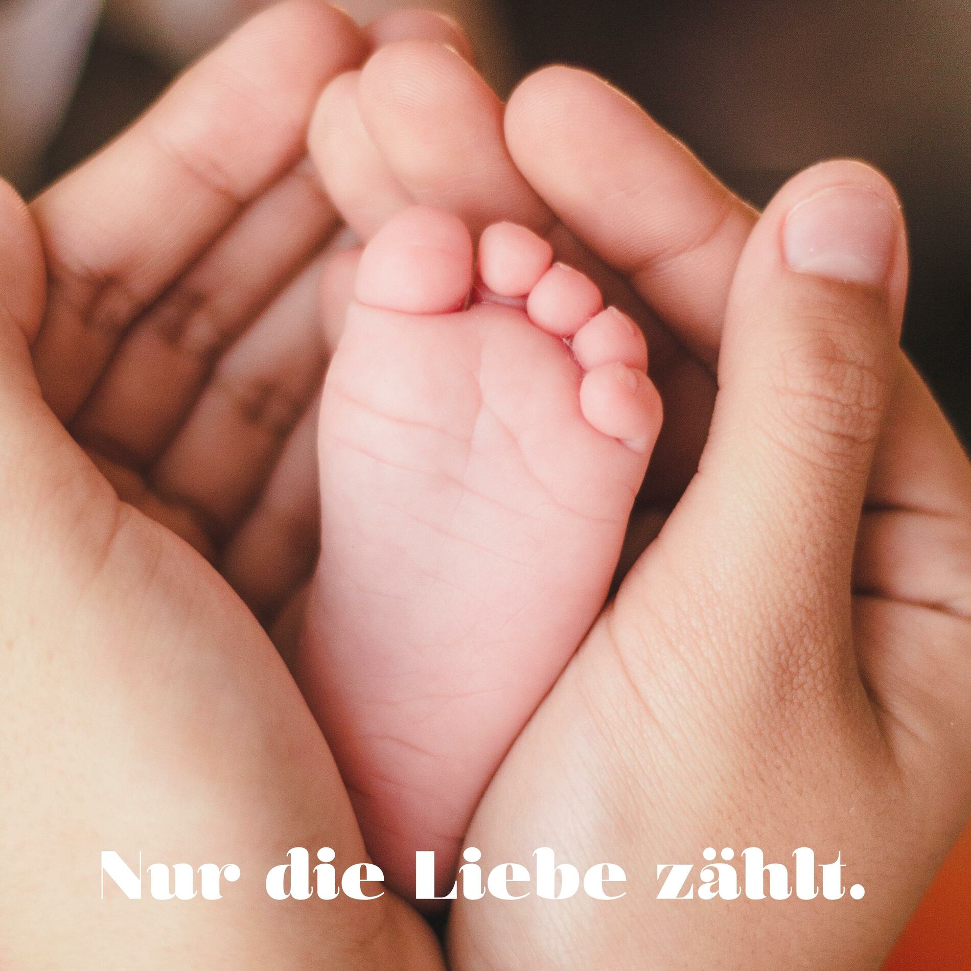 Album cover of Nur die Liebe zählt