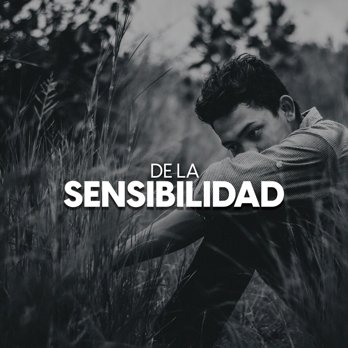 Album cover of De la sensibilidad