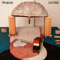 Cover of Serotonin