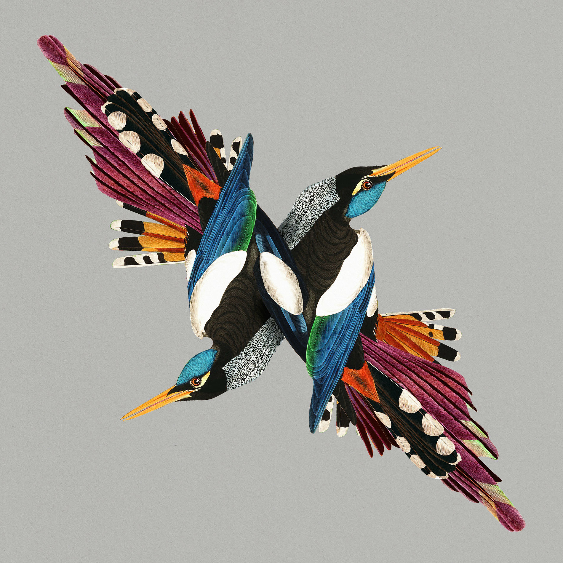 Album cover of Blue Kiss