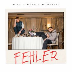 Cover of Fehler