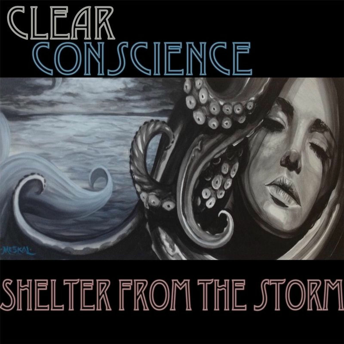 Album cover of Shelter from the Storm