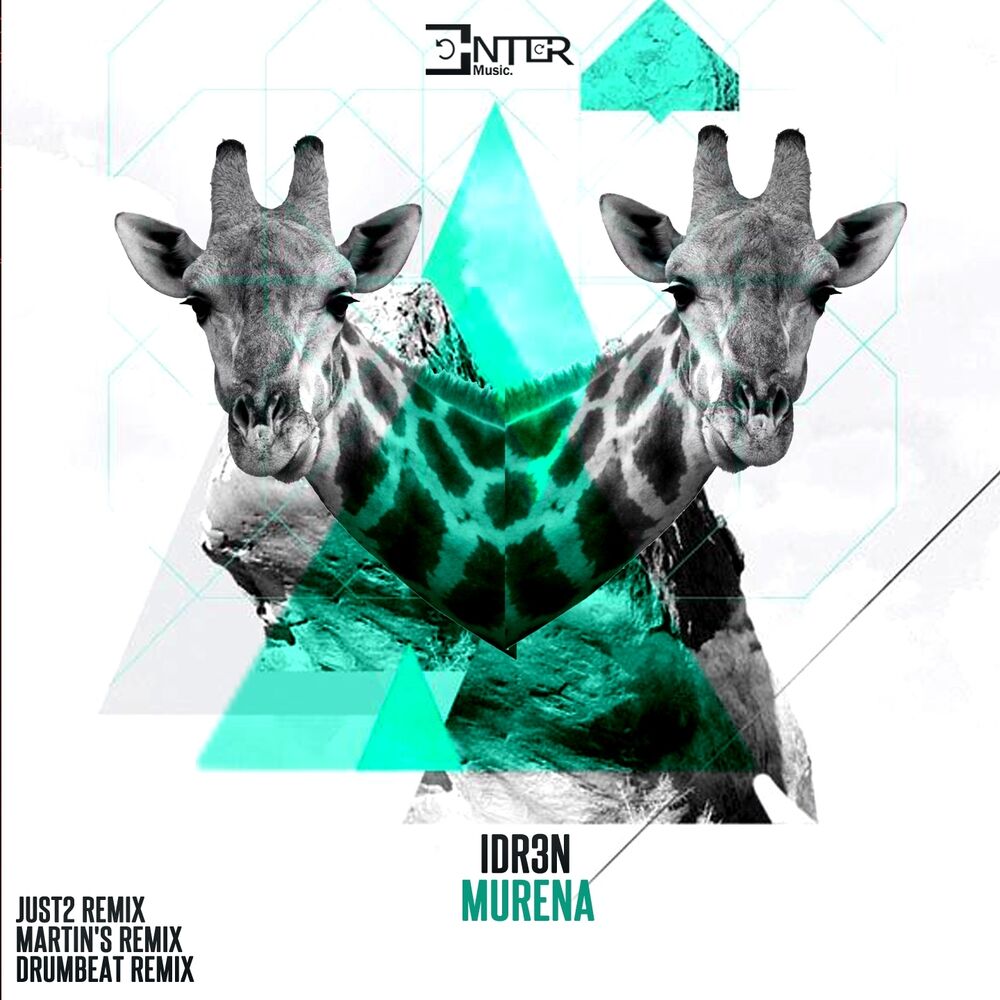 Picture of Murena