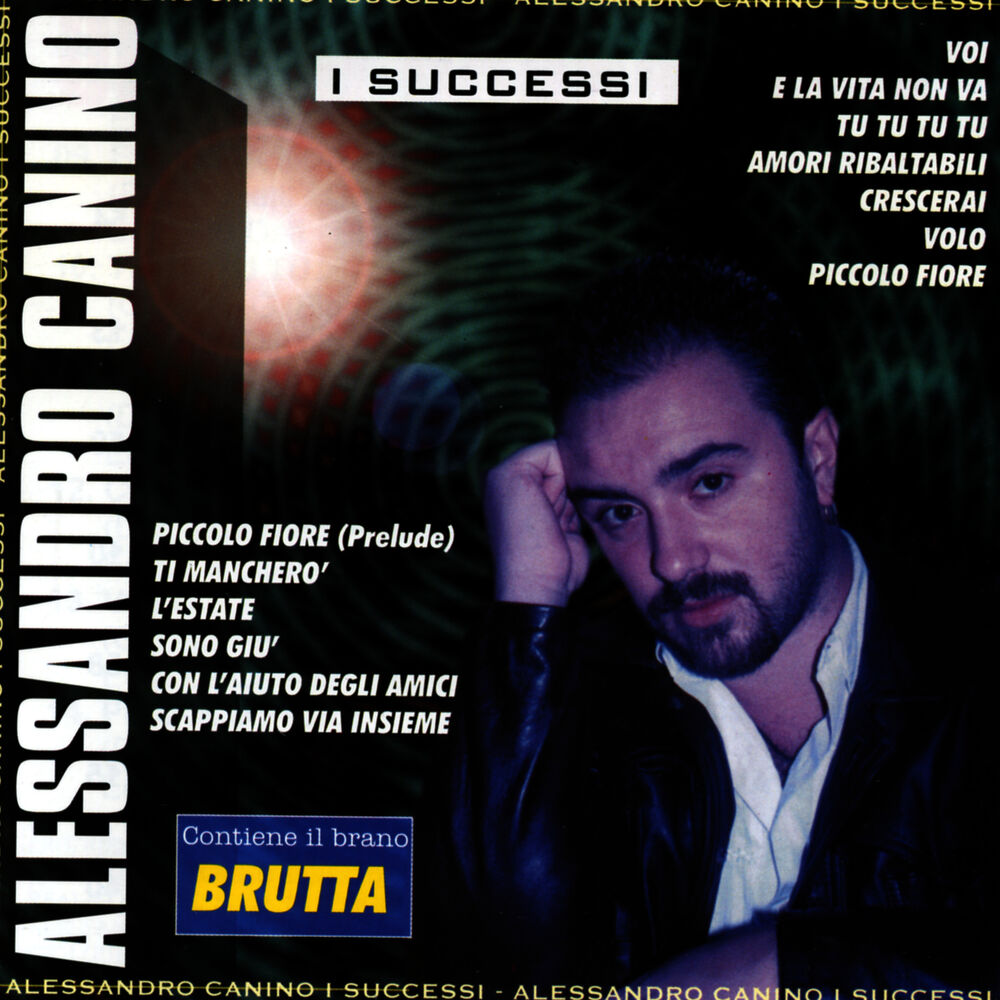 Picture of I Successi
