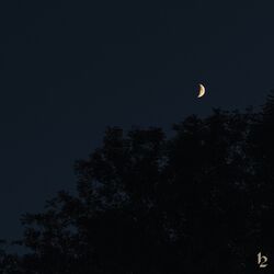 Cover of Breathe