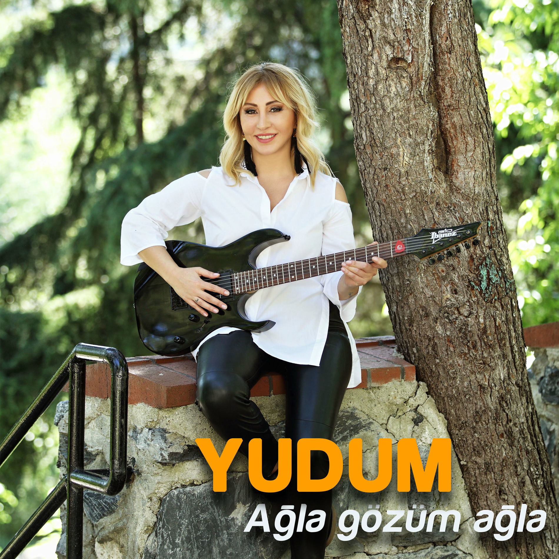 Album cover of Ağla Gözüm Ağla