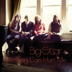 Cover of Nothing Can Hurt Me