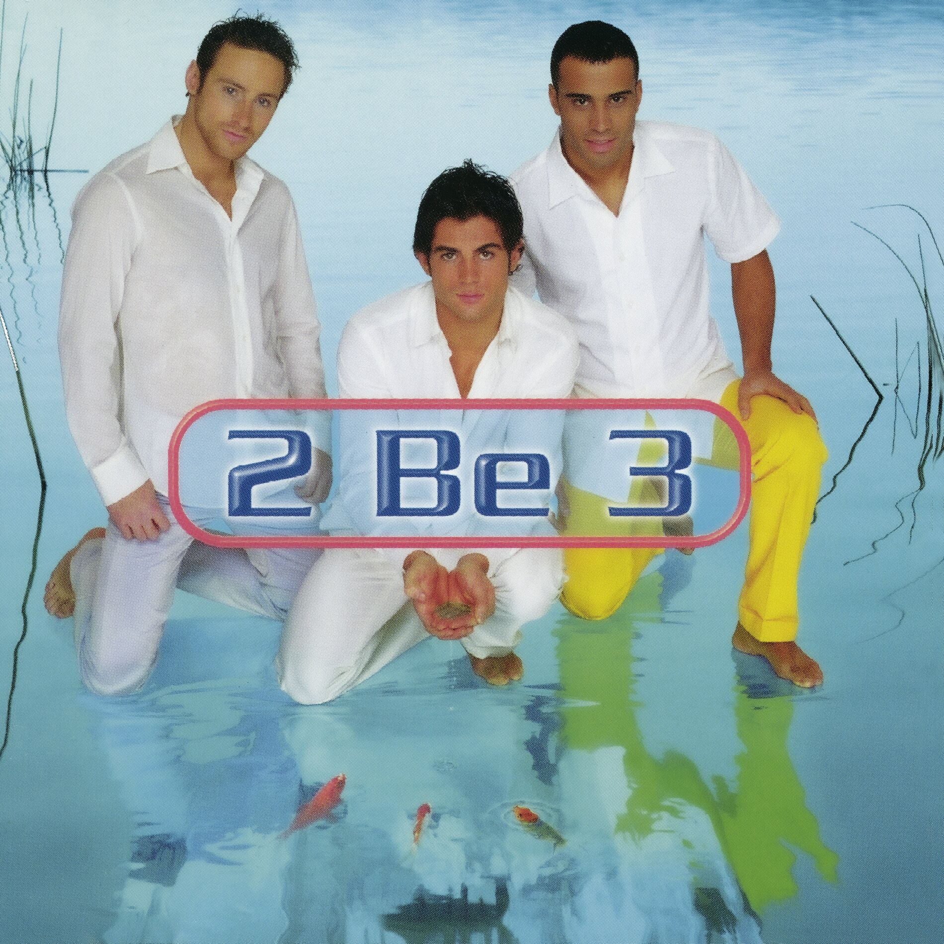 Album cover of Don't Say Goodbye