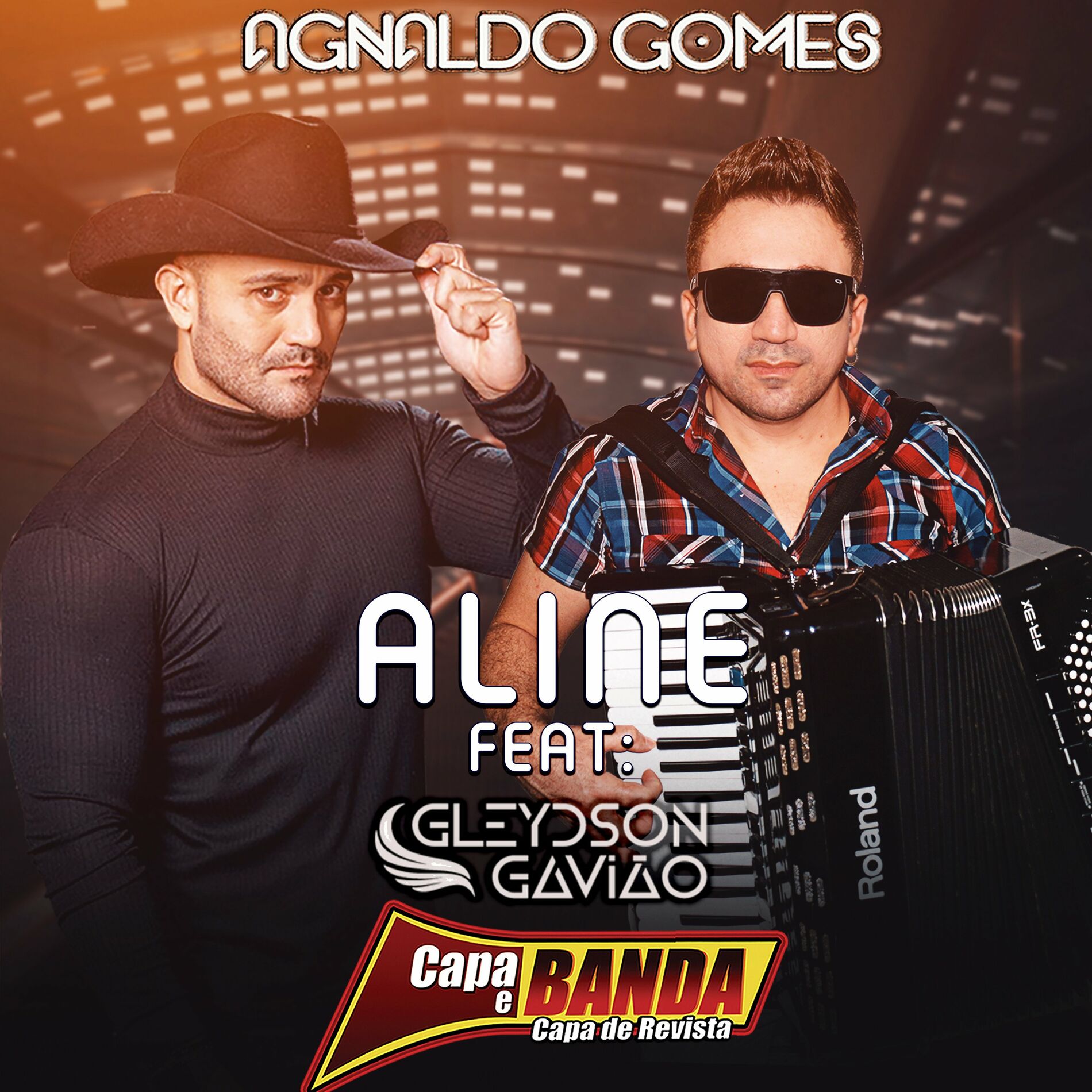 Album cover of Aline