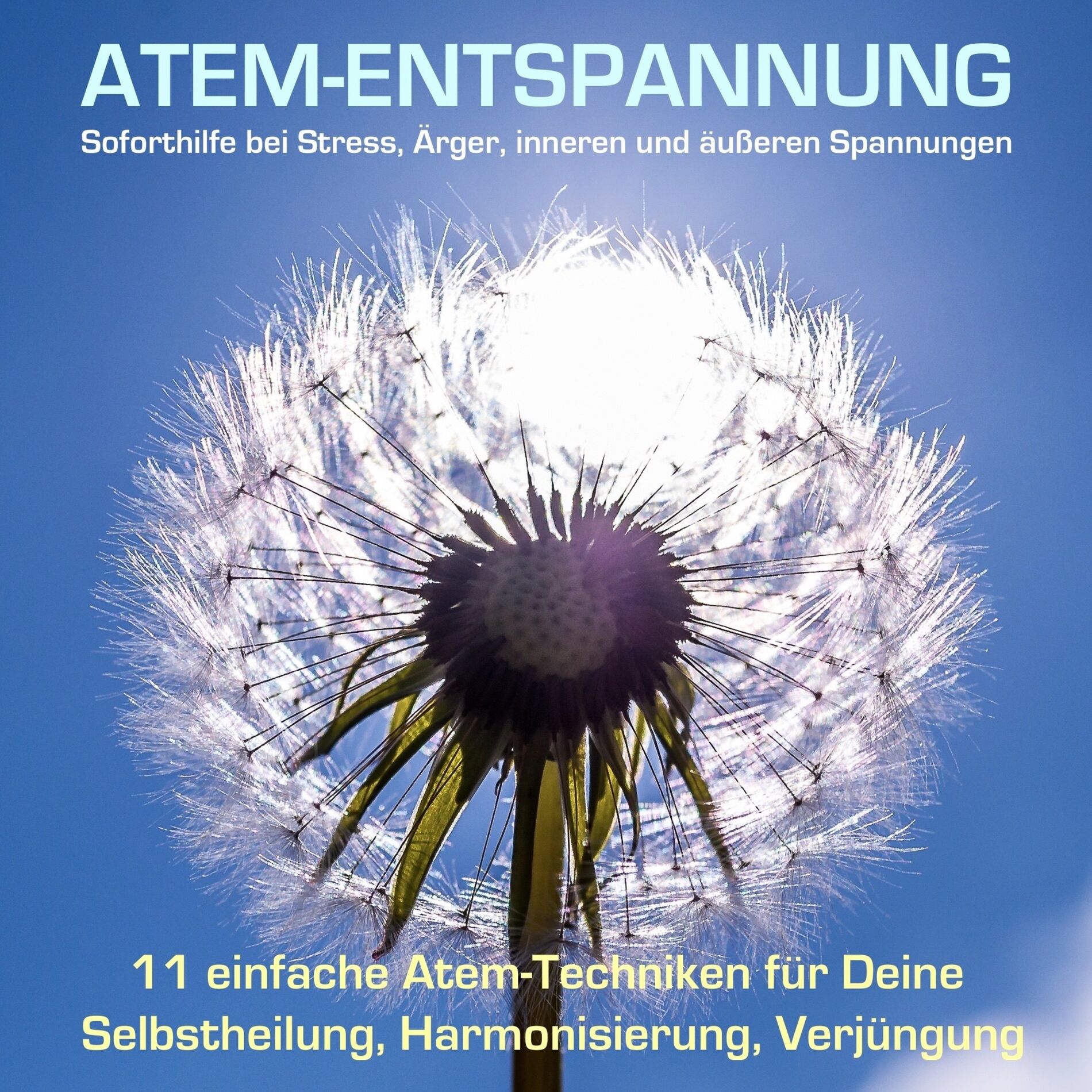 Album cover of Hochwirksame Atemübungen - Soforthilfe durch Atementspannung bei Stress, Ärger und Konflikten (11 einfache Atem-Techniken für Selbstheilung, Harmonisierung, Verjüngung)