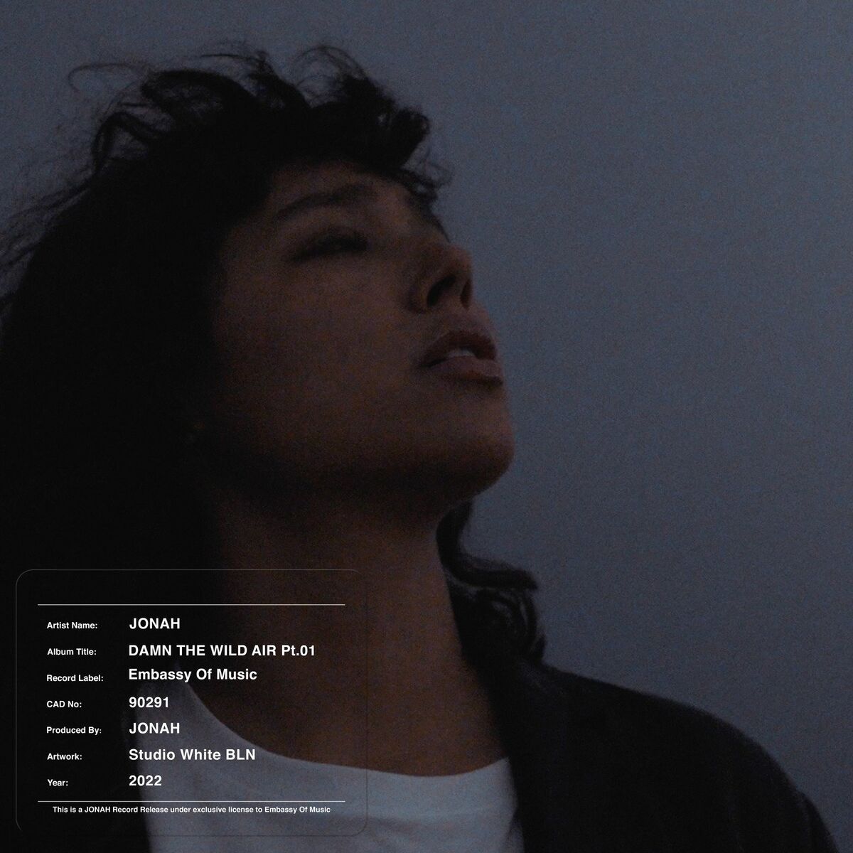Album cover of Damn the Wild Air, Pt. 01