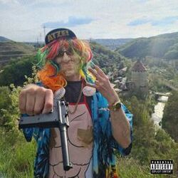 Cover of Schändervibes