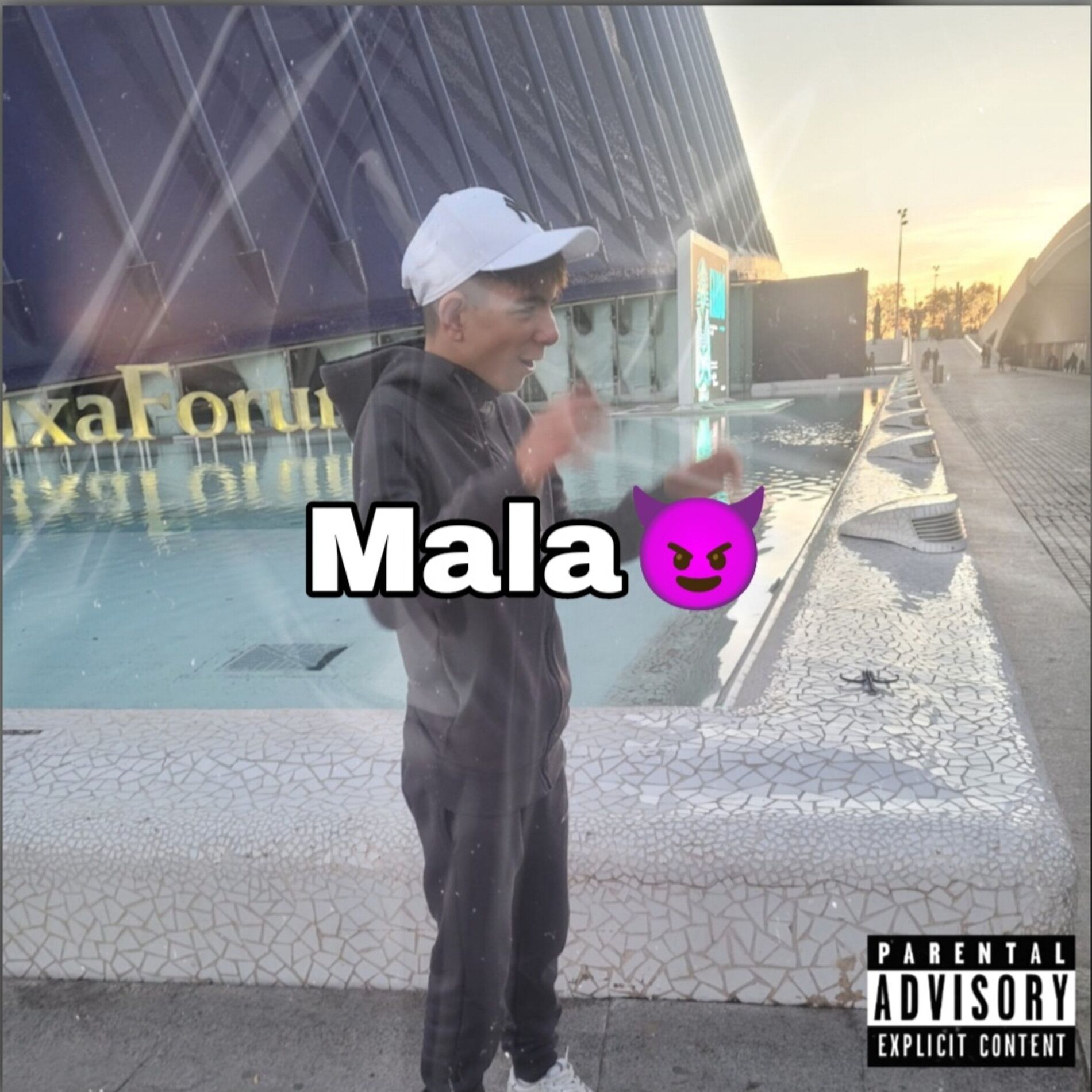 Album cover of Mala