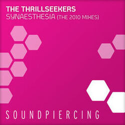 Cover of Synaesthesia (The 2010 Mixes)