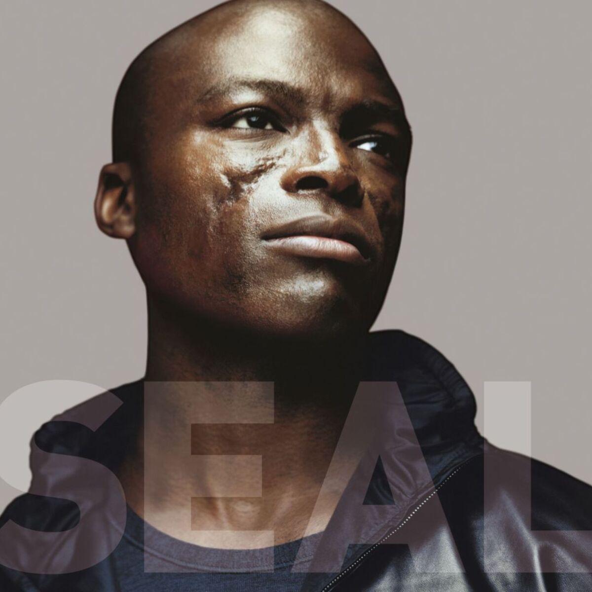 Album cover of Seal IV