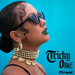 Cover of Tricky One