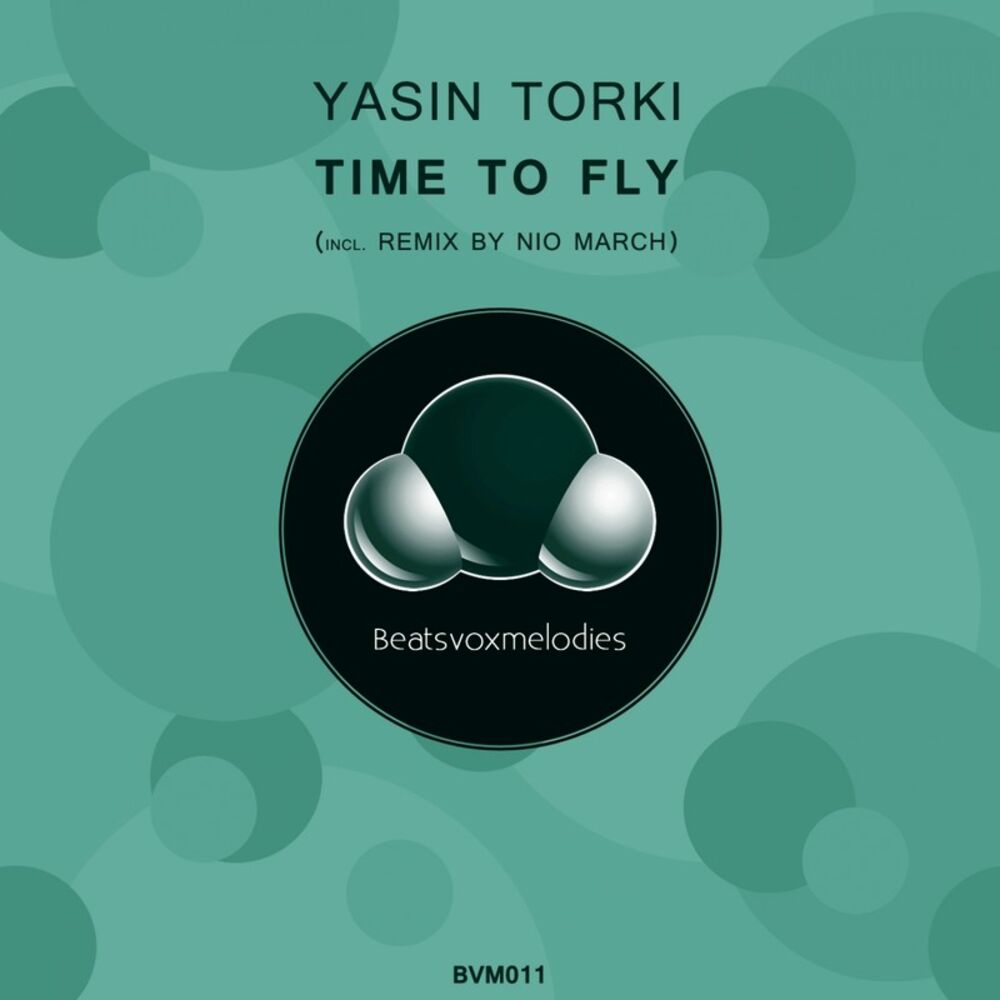Picture of Time to Fly