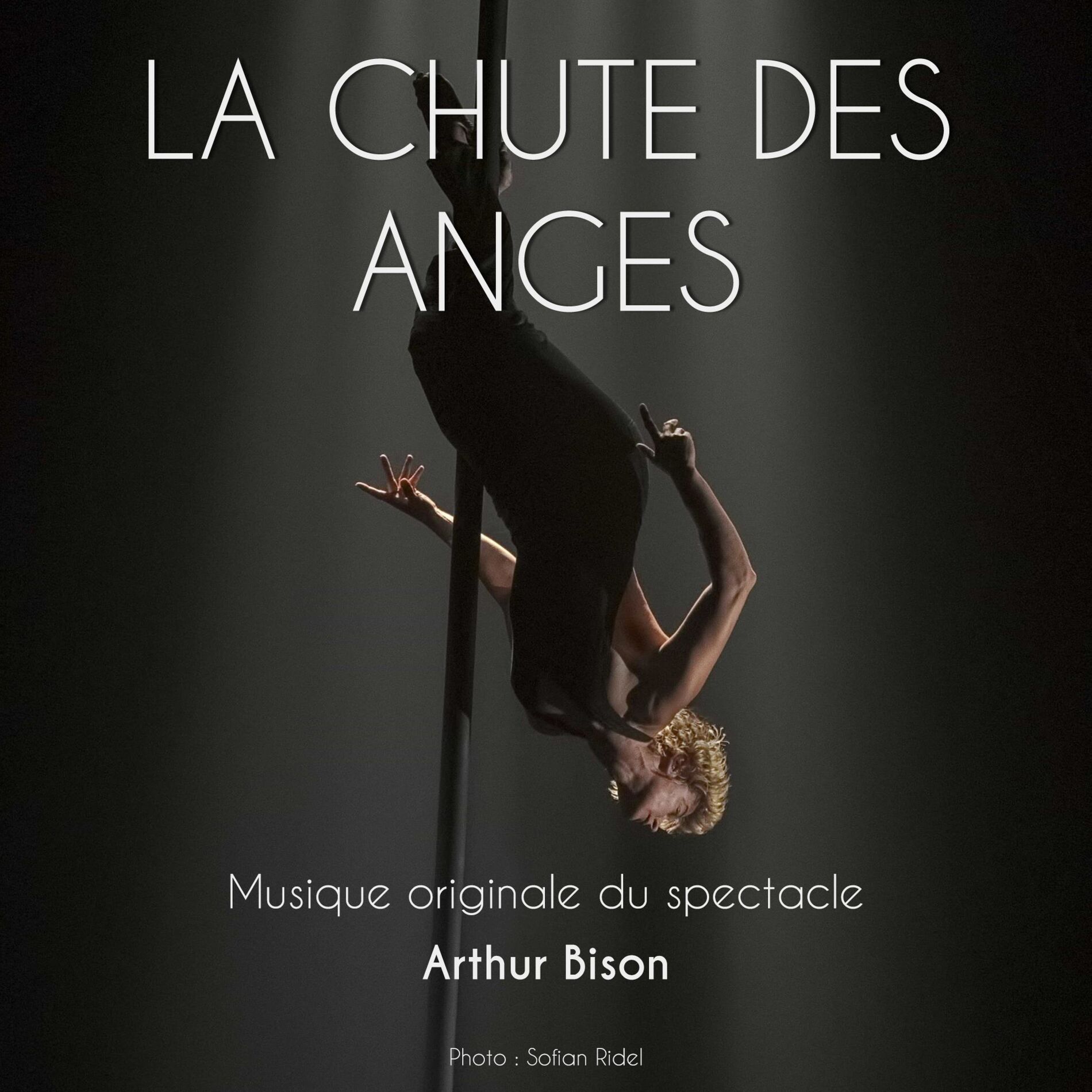 Album cover of La Chute des Anges (Musique originale du spectacle)