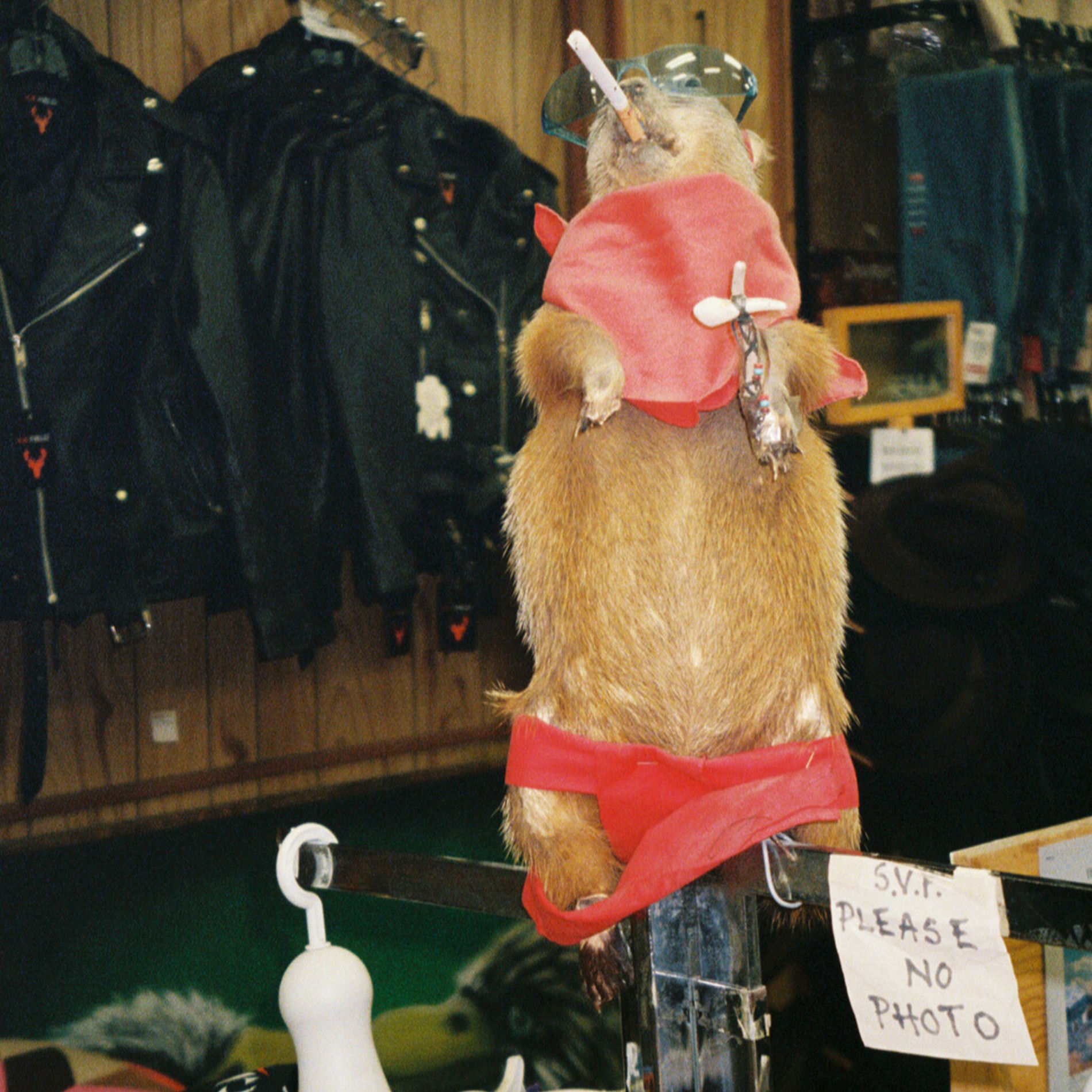Album cover of Don't Wanna Know / Rock & Roll Queen