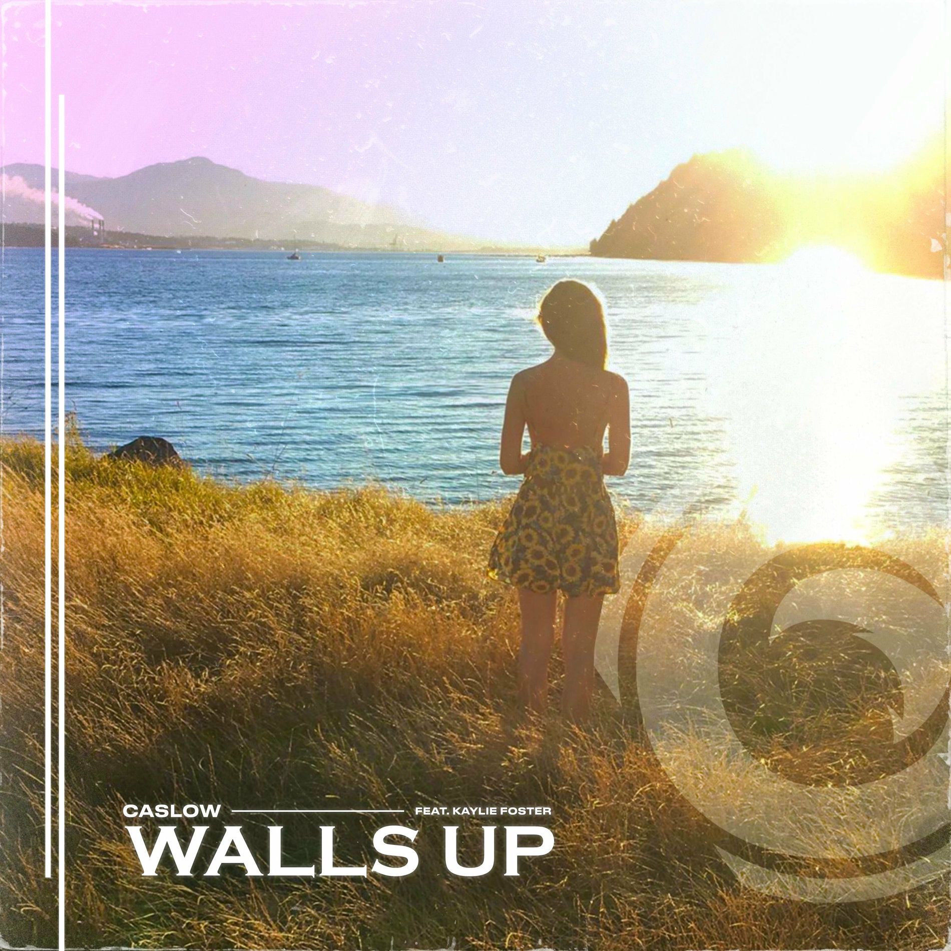 Album cover of Walls Up
